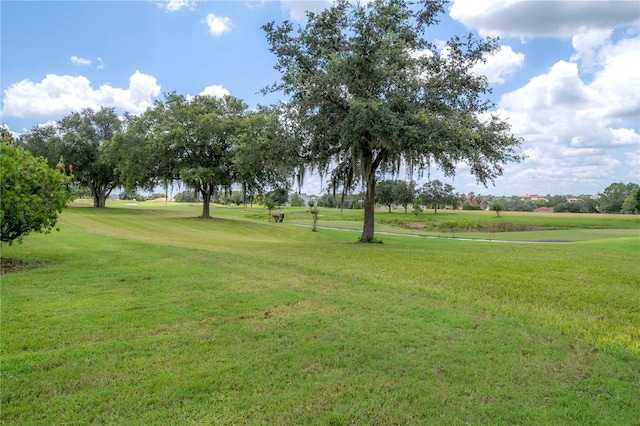 view of home's community with a lawn