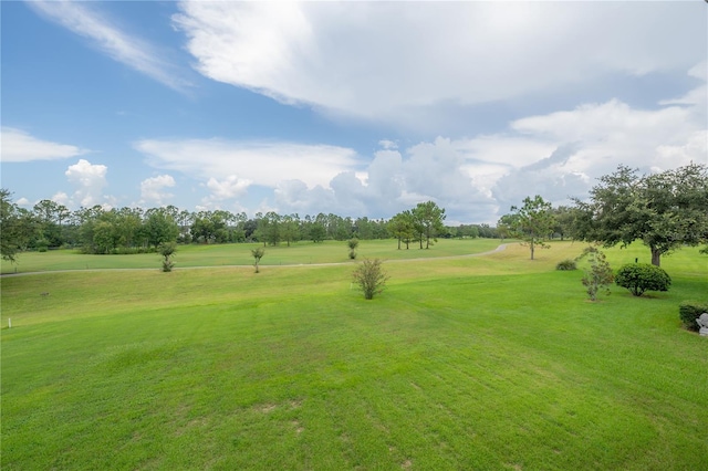 surrounding community featuring a yard