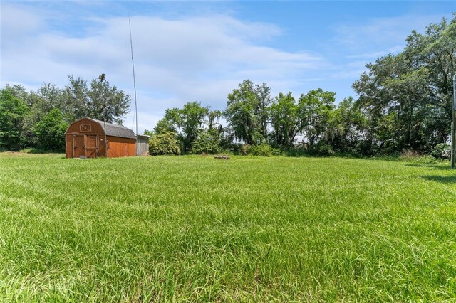 view of yard featuring a shed