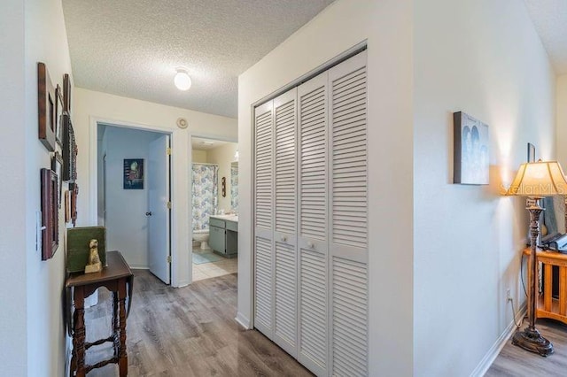 hallway with a textured ceiling and wood-type flooring