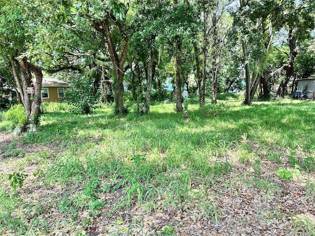 832 E 145th Ave, Tampa FL, 33613 land for sale