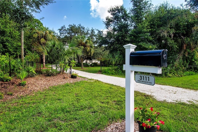 exterior space featuring driveway and a yard