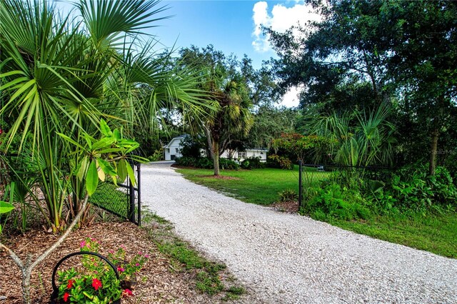 view of home's community featuring a lawn and gravel driveway