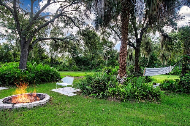 view of yard with an outdoor fire pit