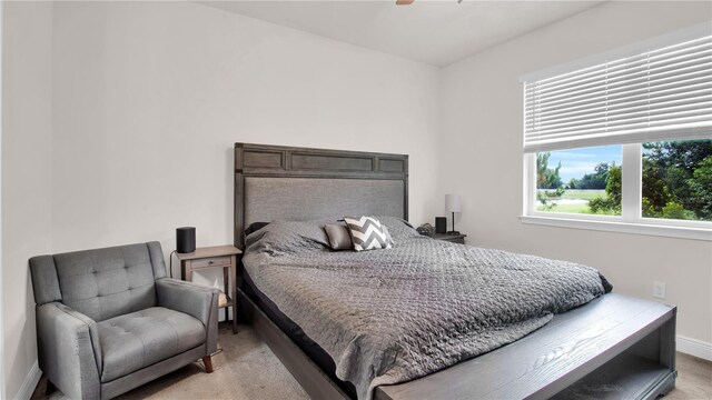 bedroom featuring light colored carpet