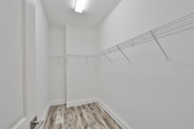 walk in closet with light wood-type flooring