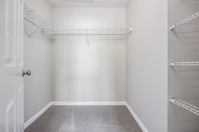 spacious closet with carpet