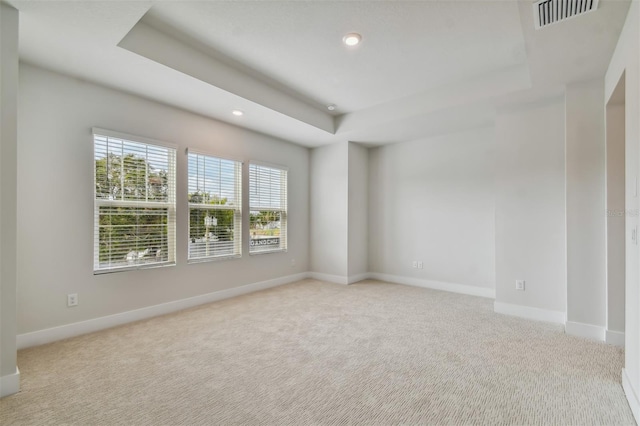 unfurnished room featuring a raised ceiling and light carpet