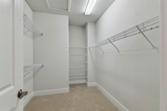 walk in closet featuring light colored carpet