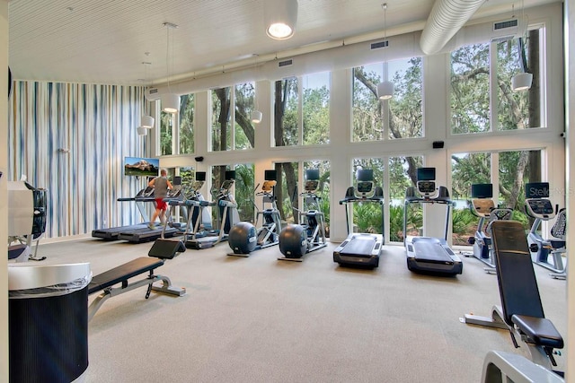 gym featuring a towering ceiling, plenty of natural light, and carpet