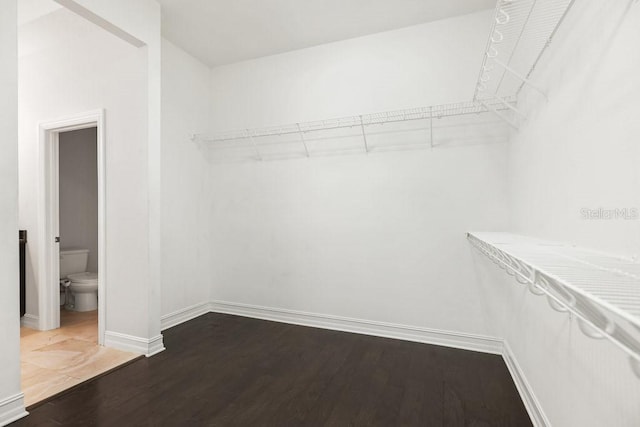 spacious closet featuring hardwood / wood-style floors