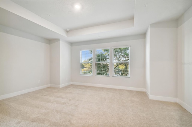 carpeted spare room with a raised ceiling