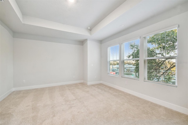 carpeted spare room with a raised ceiling and plenty of natural light