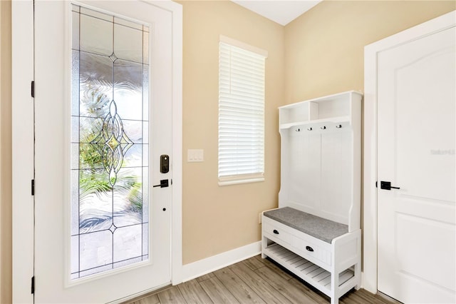 mudroom with a healthy amount of sunlight and light wood-type flooring