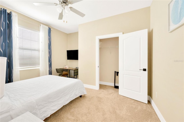 carpeted bedroom featuring ceiling fan, a closet, and a walk in closet