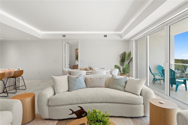 living room featuring a raised ceiling