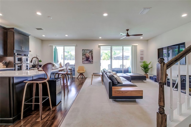 living room with hardwood / wood-style flooring, sink, a healthy amount of sunlight, and ceiling fan