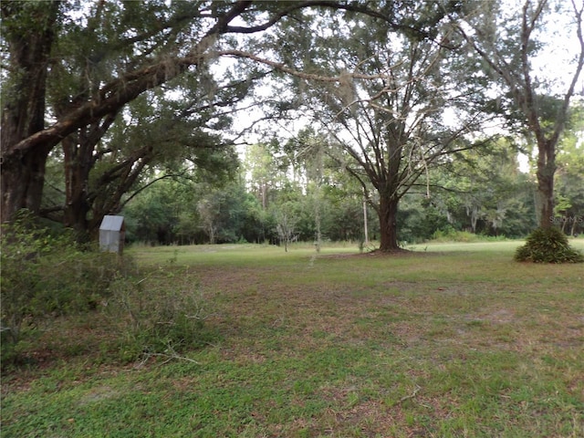 Listing photo 3 for 6652 Evening Shade Ln, Land O Lakes FL 34638