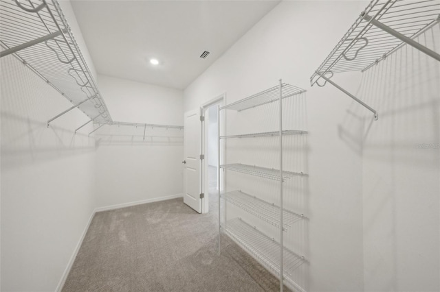 walk in closet with carpet flooring