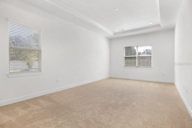 spare room featuring a tray ceiling, a wealth of natural light, and light carpet