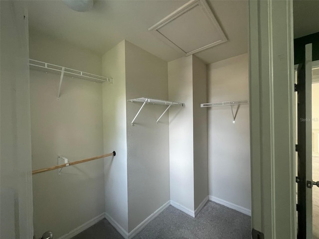 view of walk in closet