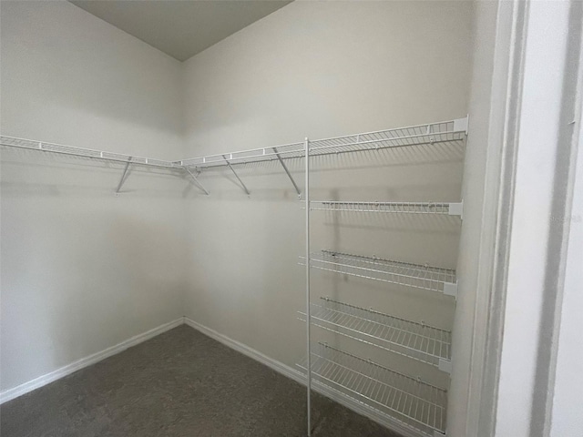 walk in closet with dark colored carpet