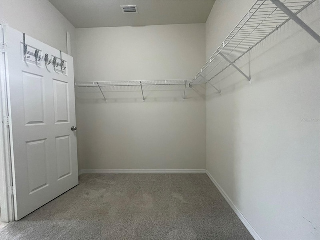 spacious closet with carpet flooring