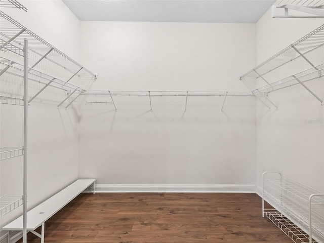 walk in closet with dark wood-type flooring