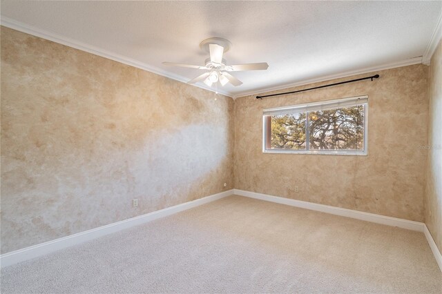 empty room featuring ceiling fan, carpet, and ornamental molding