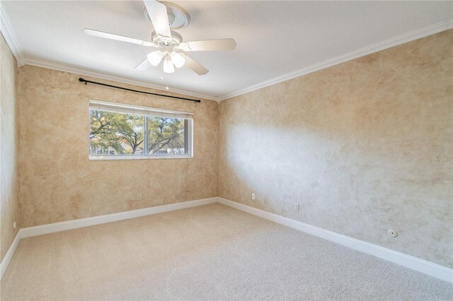 spare room featuring ceiling fan, carpet flooring, and crown molding