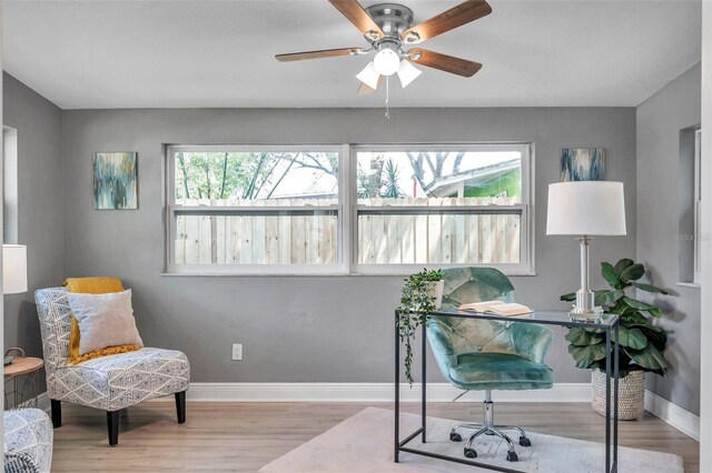 office area featuring light hardwood / wood-style floors and a wealth of natural light