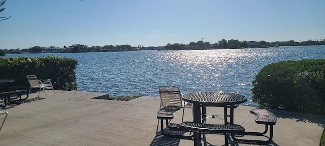 dock area with a water view