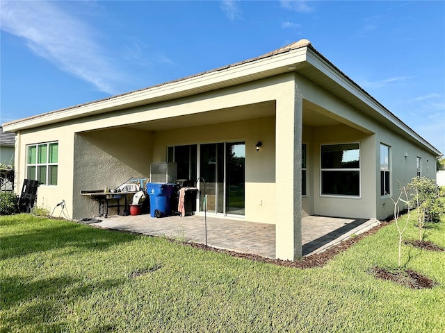 back of house featuring a patio area, a lawn, and stucco siding