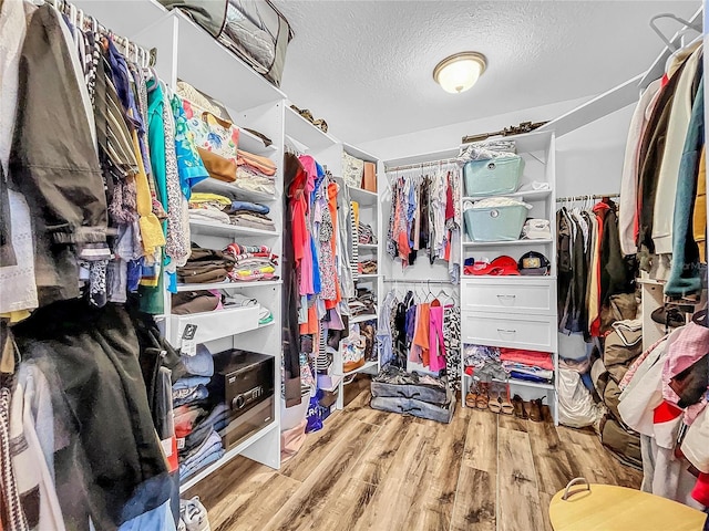 walk in closet with light wood-type flooring