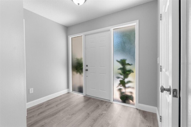 foyer entrance with wood-type flooring