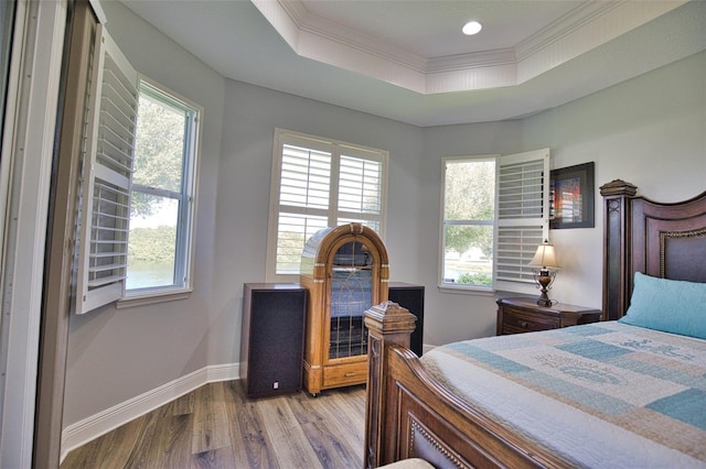 bedroom featuring a raised ceiling, multiple windows, baseboards, and wood finished floors