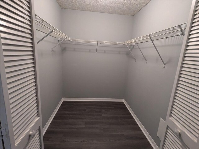 walk in closet with dark hardwood / wood-style flooring