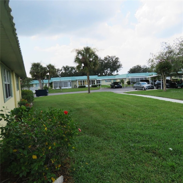 view of yard with a carport