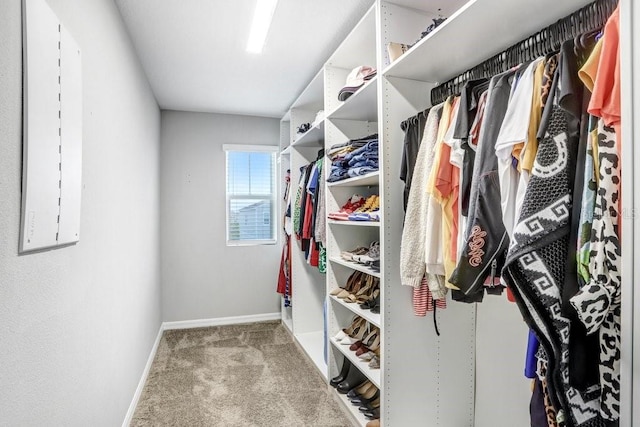 walk in closet featuring light carpet