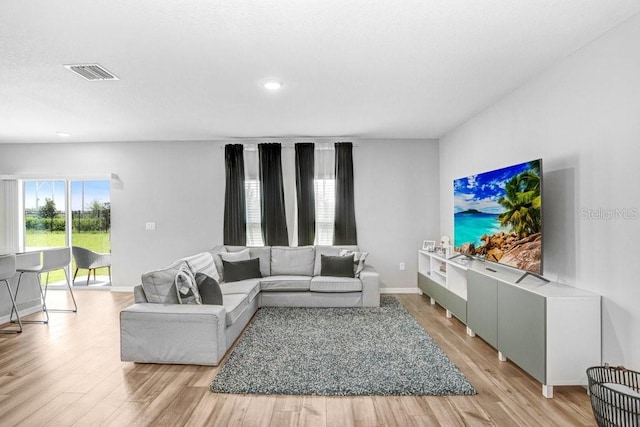 living room featuring light hardwood / wood-style floors