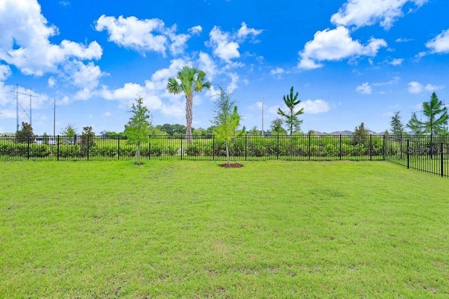 view of yard with a rural view