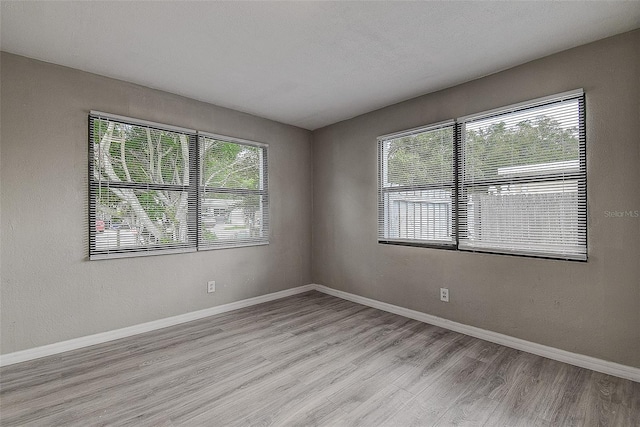 spare room with a wealth of natural light and light hardwood / wood-style floors