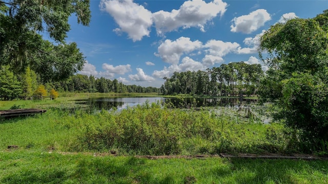 water view featuring a view of trees