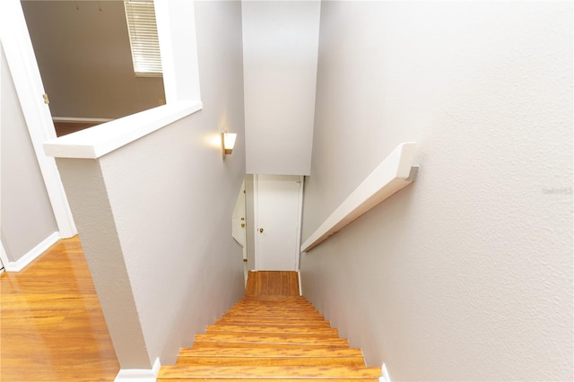 stairs with hardwood / wood-style floors