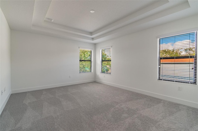 carpeted spare room with baseboards and a tray ceiling