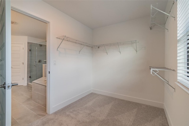 walk in closet featuring light colored carpet