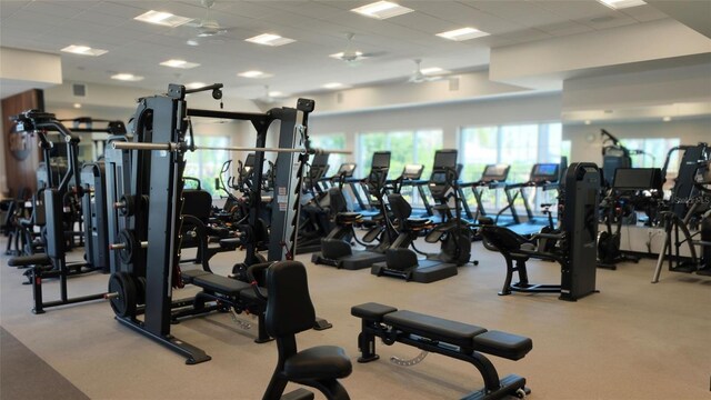 workout area featuring light colored carpet and a paneled ceiling