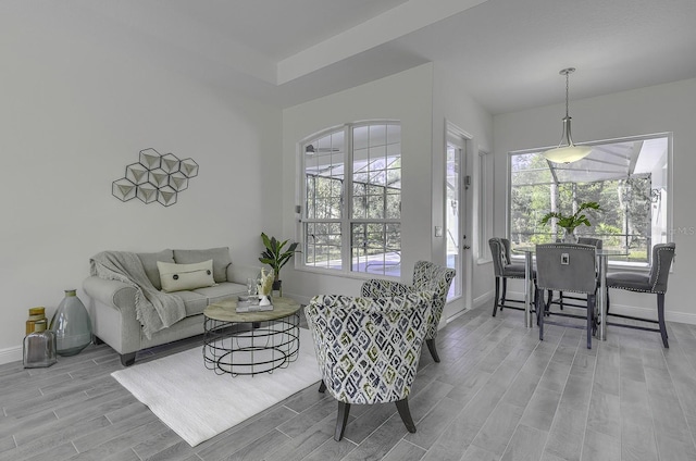 living room featuring light hardwood / wood-style flooring