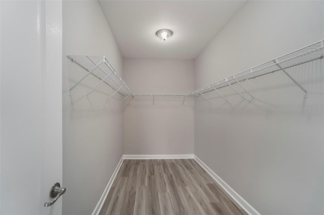 walk in closet with light wood-style floors