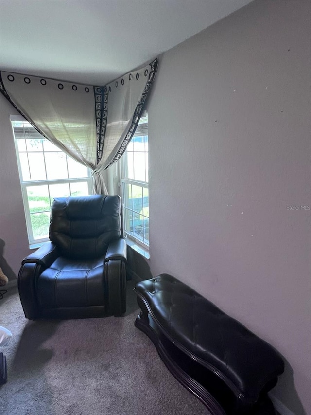 sitting room with carpet and a healthy amount of sunlight